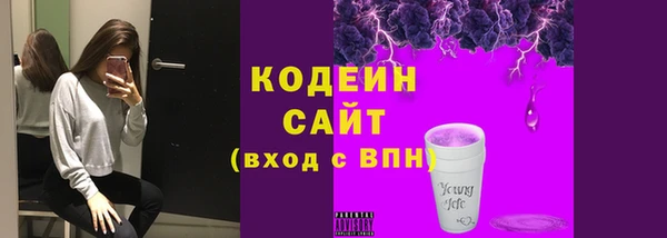 соль ск Кодинск