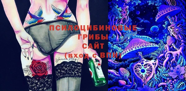 соль курить ск Коряжма