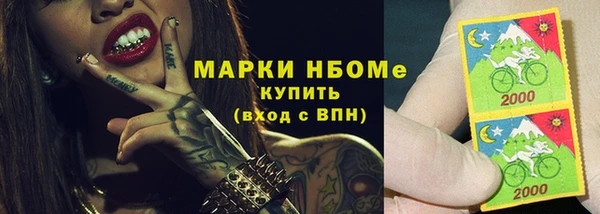 ПСИЛОЦИБИНОВЫЕ ГРИБЫ Козловка